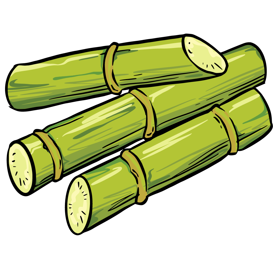 Sugarcane National Production (Tons)