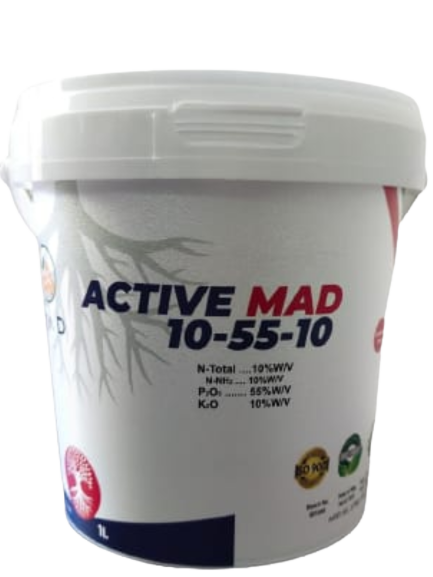 Active Mad 10-55-10